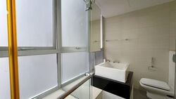 Oasis @ Elias (D18), Condominium #563499301